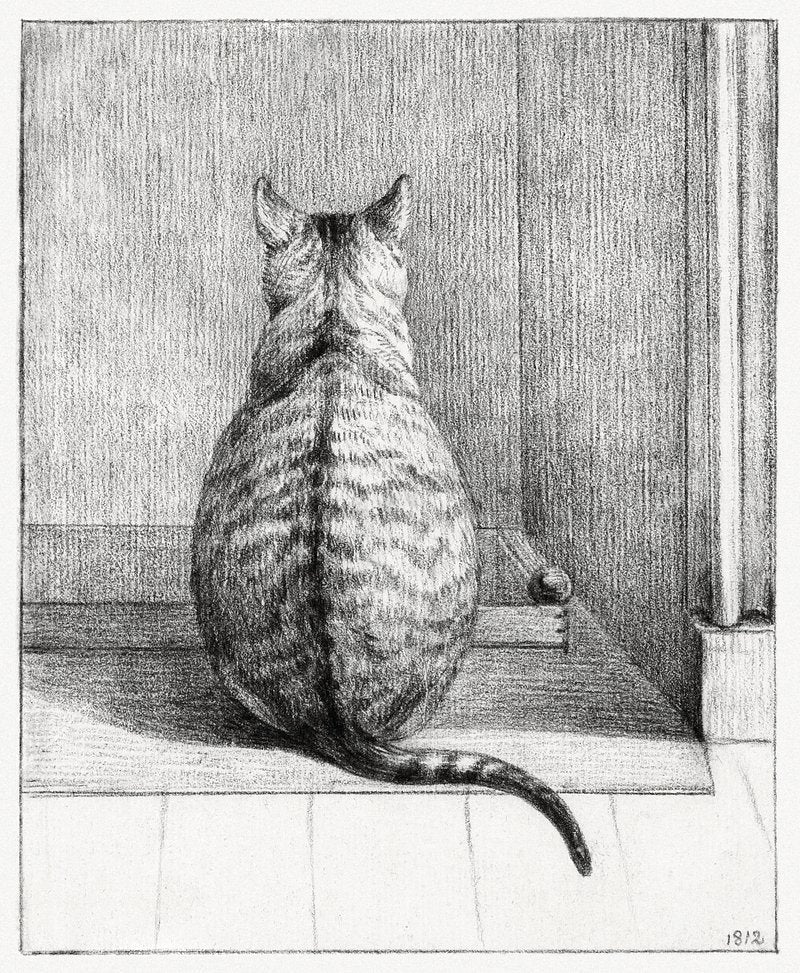A drawing of a cat sitting in front of a door, looking to the side.