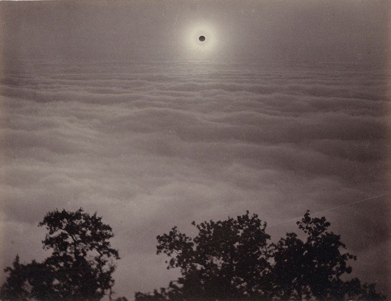 A black and white image of a solar eclipse, featuring a large dark moon covering the sun, with trees in the foreground.