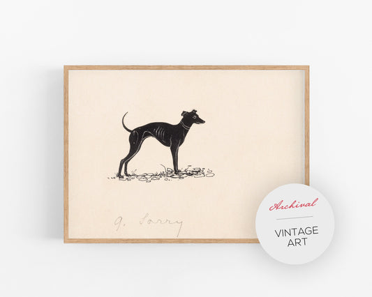 Vintage dog fine art print | Greyhound art | Canine illustration | Modern vintage décor | Ready to frame & gift