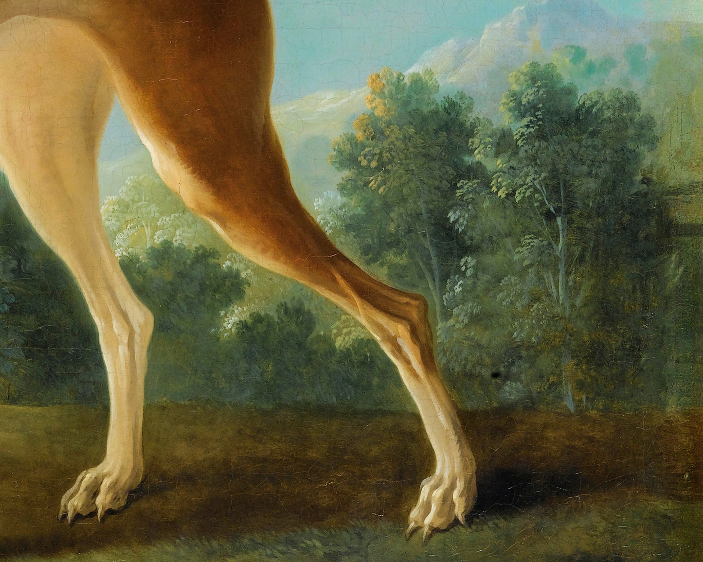 Vintage dog portrait | Greyhound in a landscape | Canine in nature wall art | Antique animal art | French artist | Jean-Baptiste Oudry