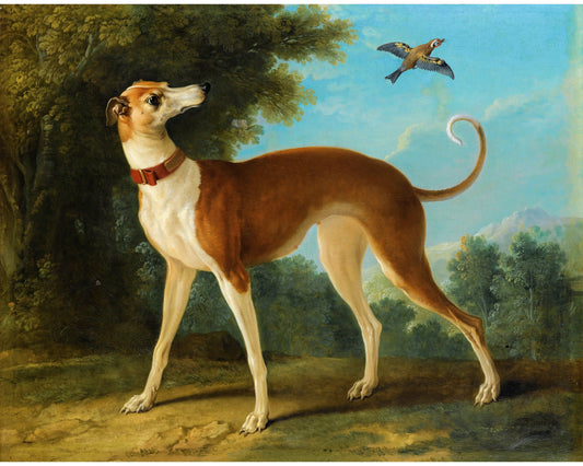Vintage dog portrait | Greyhound in a landscape | Canine in nature wall art | Antique animal art | French artist | Jean-Baptiste Oudry