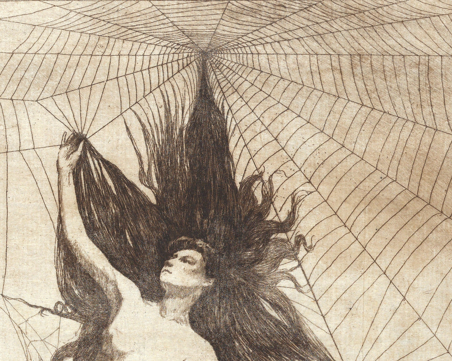 Vintage spider woman art | Arachne | Greek mythology sketch | Vintage gothic nude | Occult, Dark wall art | Victorian spider woman