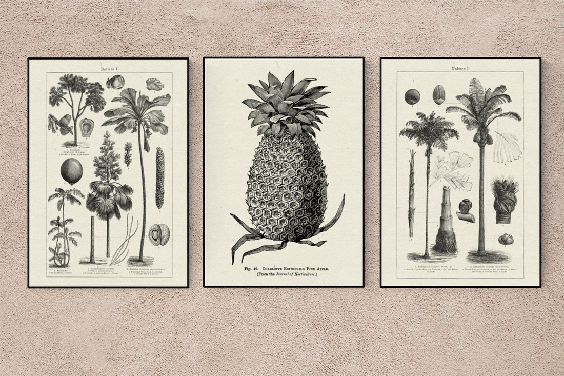 Tropicalia Vibes Poster - Set with 3 beautiful Poster for your decor