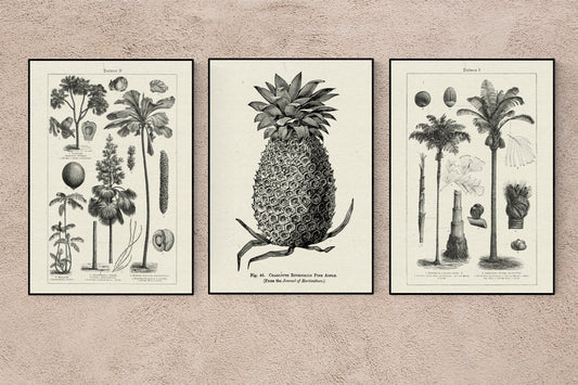 Tropicalia Vibes Poster - Set with 3 beautiful Poster for your decor