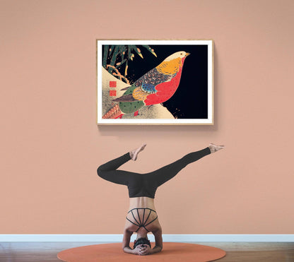 Faisán dorado de Jakuchu