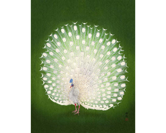 Green Peacock by Ohara Koson