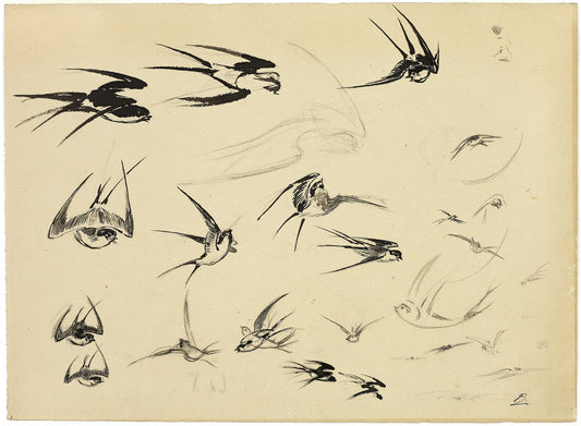 The Swallows (1881) by Félix Bracquemond