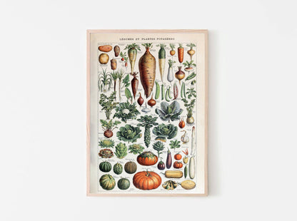 Garden Vegetable Art Print II - Adolphe Millot Vegetables