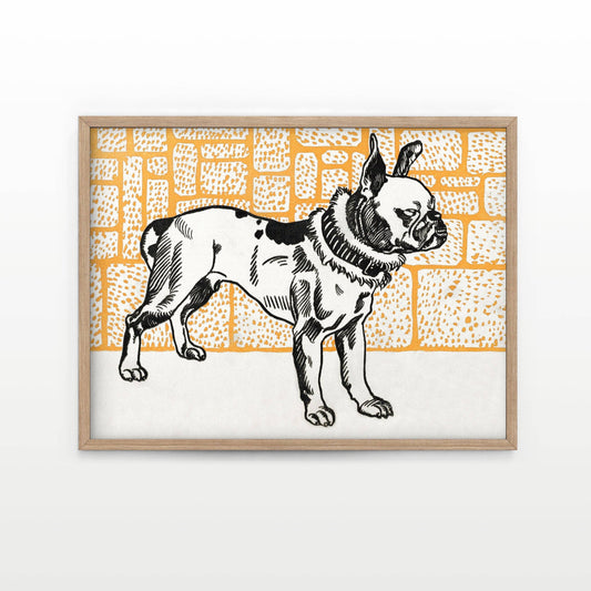 Orange French Bull Dog Art Print