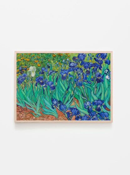 Irises 1889 by Vincent Van Gogh
