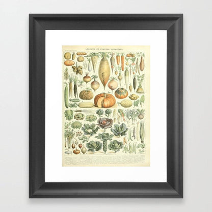 Garden Vegetable Art Print I - Adolphe Millot Vegetables