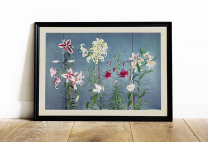 Lily Chart II by Ogawa Kazumasa