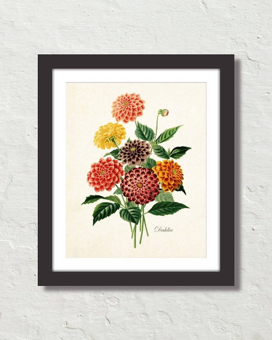A framed art print featuring a vibrant illustration of various Dahlias with green leaves, arranged in a bouquet, on a white background.