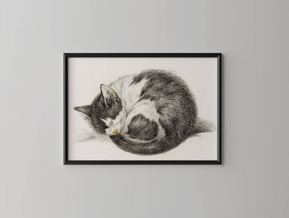 Vintage Sleeping Kitten Poster