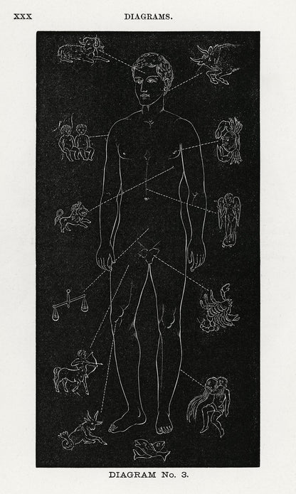 Diagram No.3 Print from Solar Biology by Hiram Erastus Butler