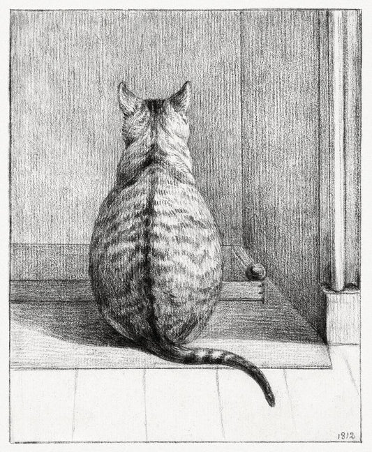 Sitting cat, from behind (1812) drawing by Jean Bernard