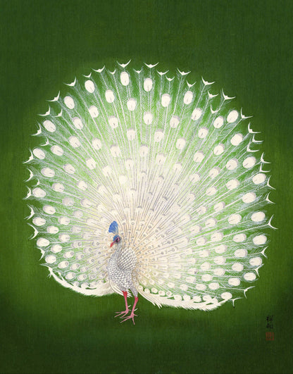A printed artwork of a green peacock with detailed feathers and a blue beak, set against a green background.