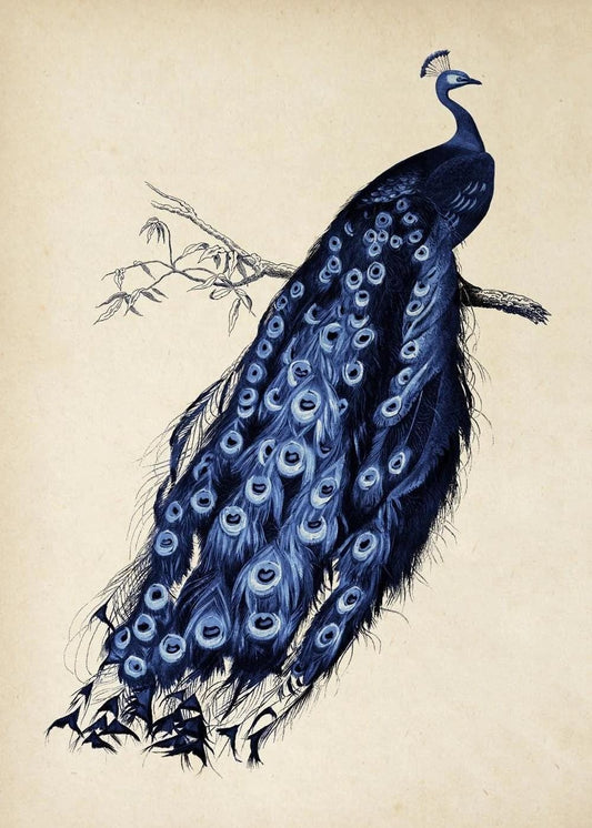 Elegant Peacock Perched on Branch - Vintage Style Digital Art for Home Decor - Instant Download Printable Wall Art