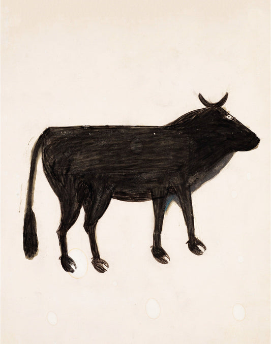 bill traylor black cow art print reproduction (whitespace trimmed)