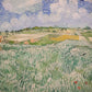 Plain near Auvers by Vincent van Gogh