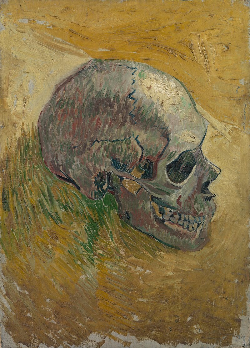 Skull II by Vincent van Gogh