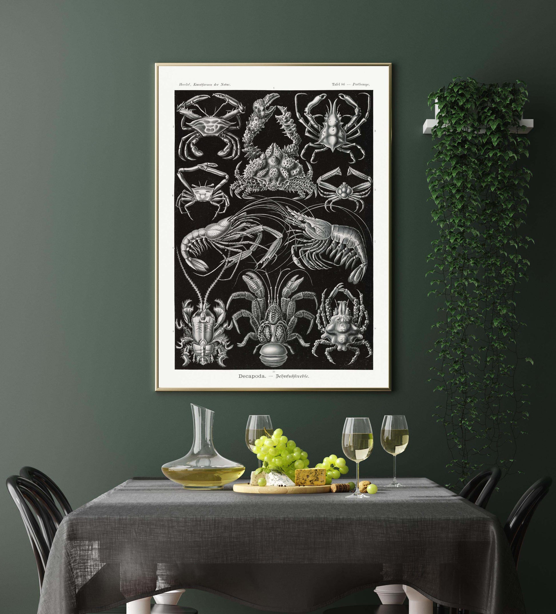 Ernst Haeckel Wall Art - Decapoda by Ernst Haeckel Poster