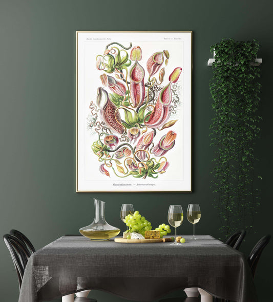 Ernst Haeckel Wall Art - Nepenthaceae by Ernst Haeckel Poster