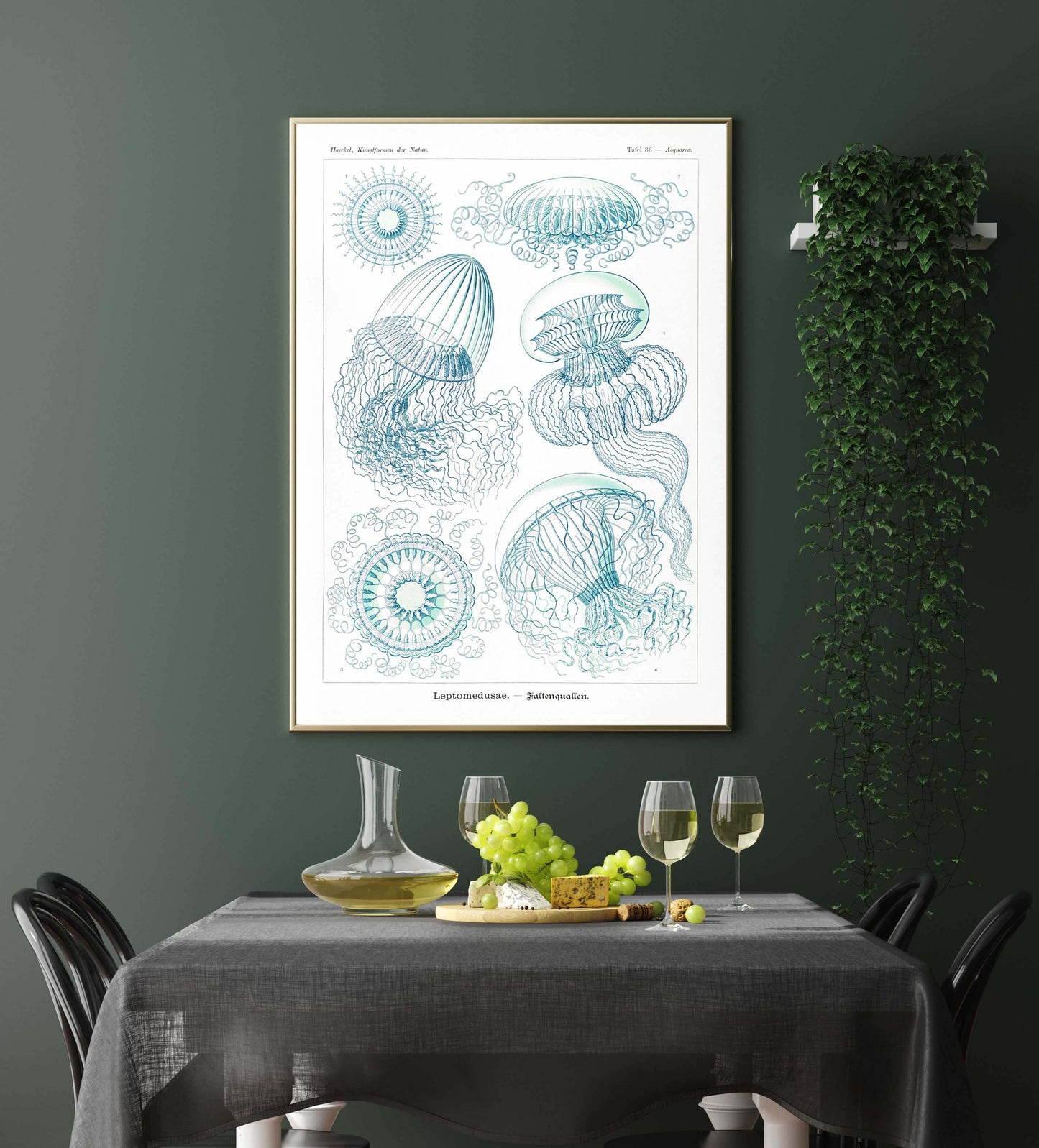 Ernst Haeckel Wall Art - Leptomedusae by Ernst Haeckel Poster