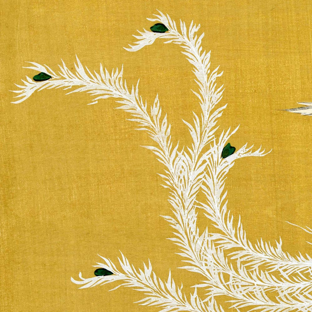 White Phoenix by Kamisaka Sekka