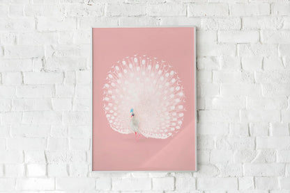 Japanese White Peacock remixed in Pink