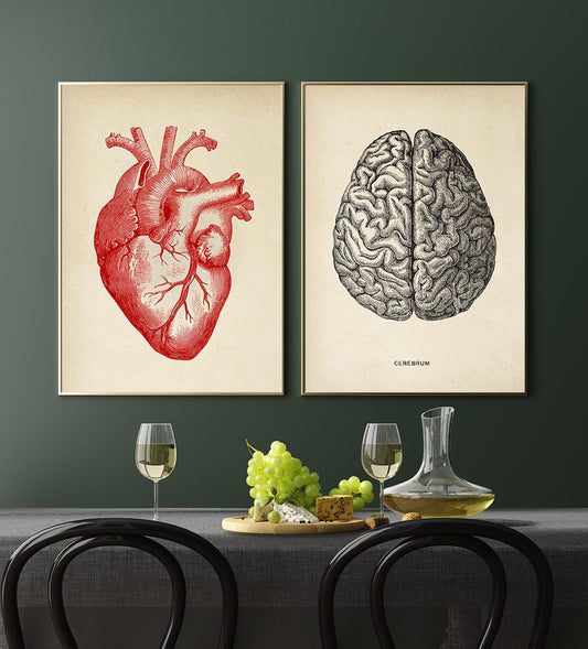 HEART & BRAIN Anatomy Art Set of 2 Prints