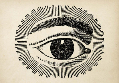 Vintage Anatomy Posters &quot;EYE FULL&quot; Set of 3 Posters