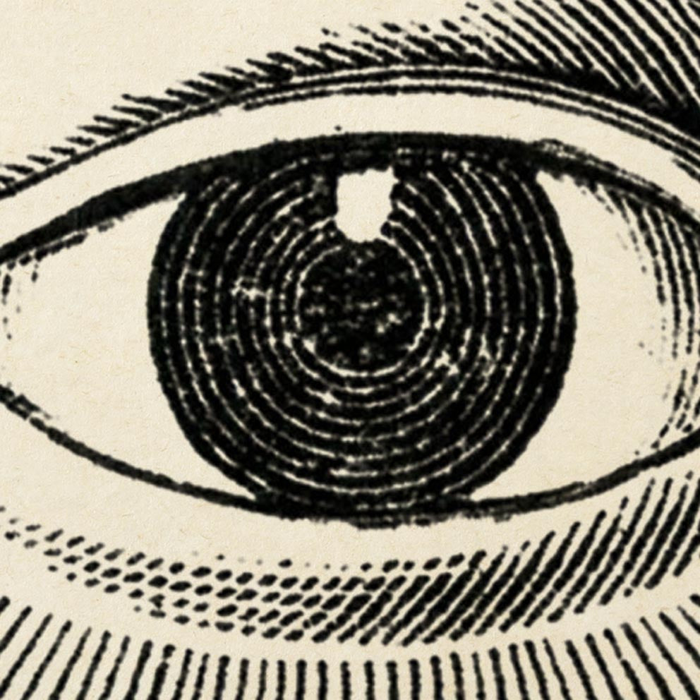 Vintage Anatomy Posters &quot;EYE FULL&quot; Set of 3 Posters