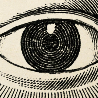 Vintage Anatomy Posters &quot;EYE FULL&quot; Set of 3 Posters