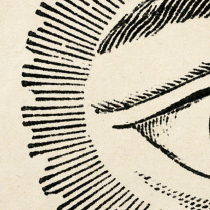 Vintage Anatomy Posters &quot;EYE FULL&quot; Set of 3 Posters