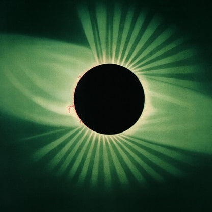 Green Vibes Set of 3 Prints