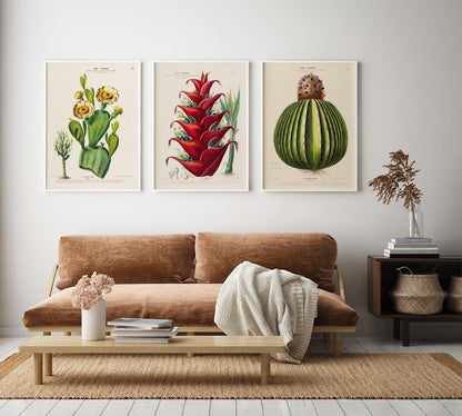 Cactus and Flowers Set of 3 Prints