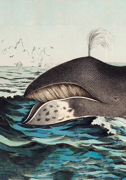 Moby Dick Scene Vintage Poster Triptych (set of three)