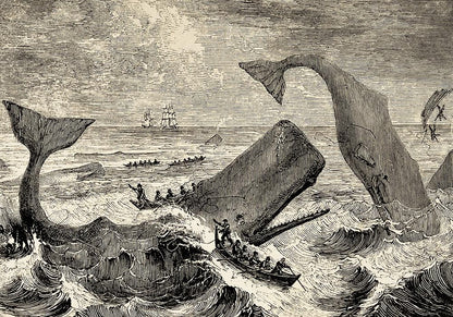 The Ocean Gallery Wall Set of 5 Posters