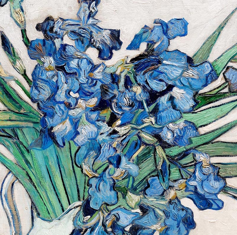 Irises by Van Gogh