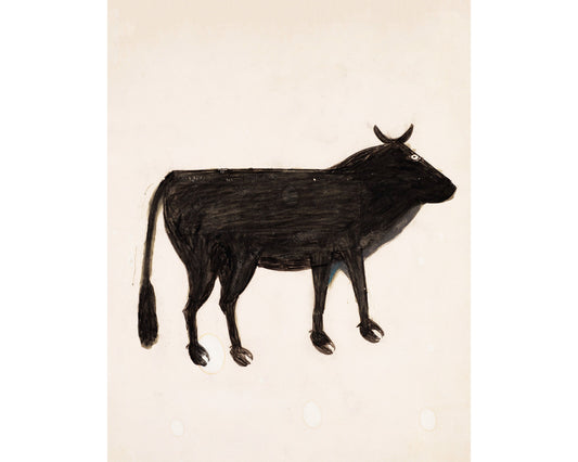 bill traylor black cow art print reproduction
