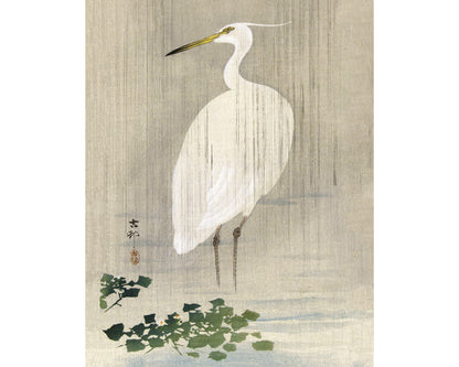 A fine art print featuring a vintage illustration of an egret standing on a lily pad in a rain setting, with a grey background.