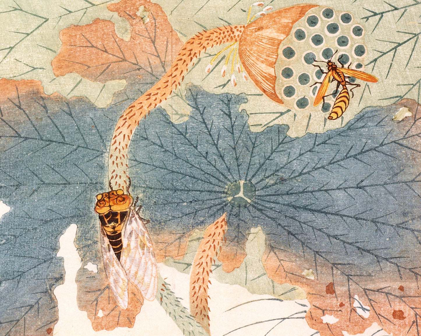 Vintage bees on lotus art | Wasp and cicada on flower | Japanese Natural history wall art | Plant and insect painting | Woodblock print