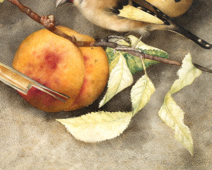 Still life art print | Vintage bird & fruit painting | Animal wall art | Goldfinch, pear, peach, plums | Female artist | Antique Italian art