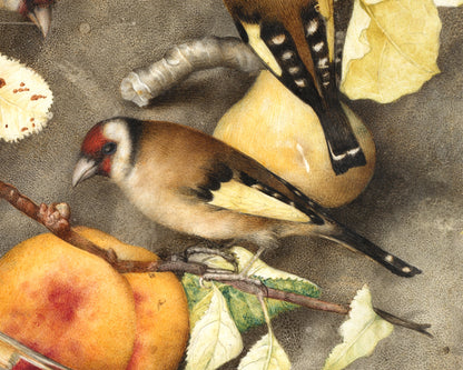 Still life art print | Vintage bird & fruit painting | Animal wall art | Goldfinch, pear, peach, plums | Female artist | Antique Italian art