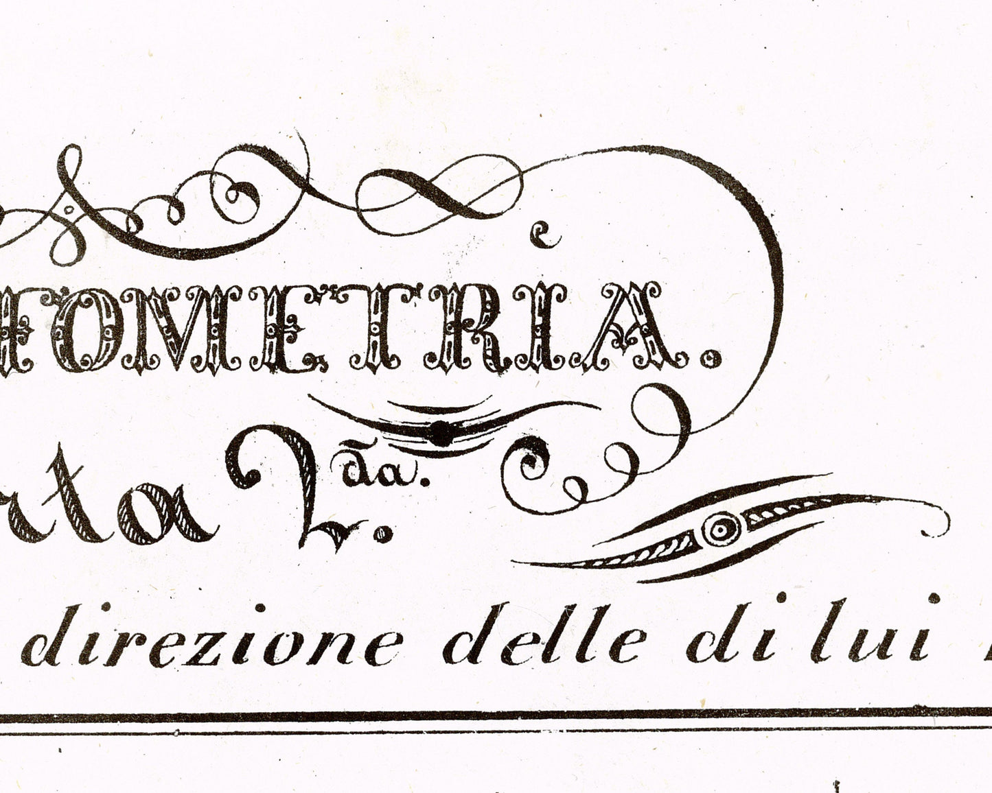 Vintage anatomical illustration | Horse anatomy | Hippographyometry | Antique Italian infographic | Veterinarian and doctor gift