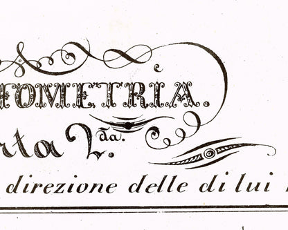 Vintage anatomical illustration | Horse anatomy | Hippographyometry | Antique Italian infographic | Veterinarian and doctor gift