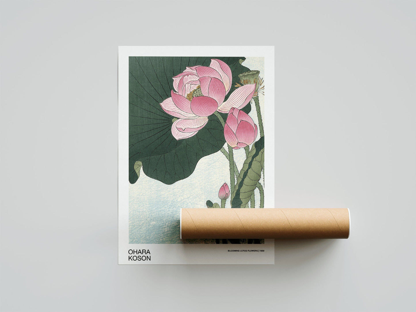 Ohara Koson - Blooming Lotus Flowers Japanese Art Print Home Décor Wall Art